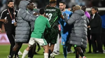 غرامات مالية ضخمة.. كاف يصدر عقوبات انضباطية ضد منتخب الجزائر بعد مباراة نيجيريا